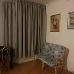 Luridean Cars And Stay